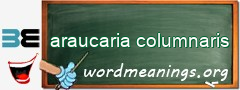 WordMeaning blackboard for araucaria columnaris